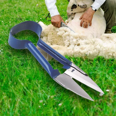 Blue Sheep Shears with Curved Blades, 29 cm