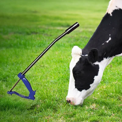 Stainless-Steel Rumen Magnet Applicator, 46 cm