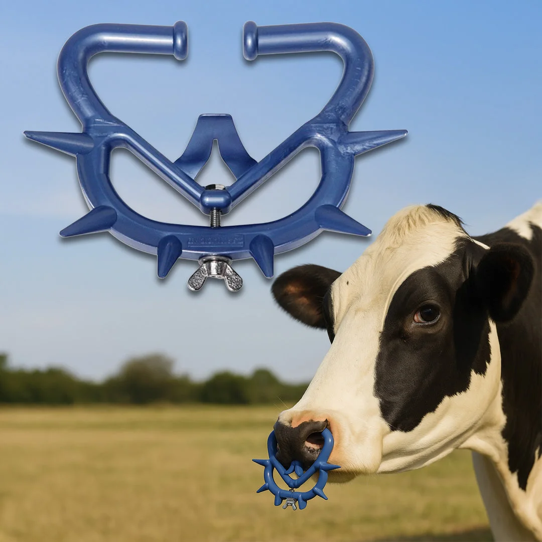 Large anti-suckling nose ring for cattle, blue