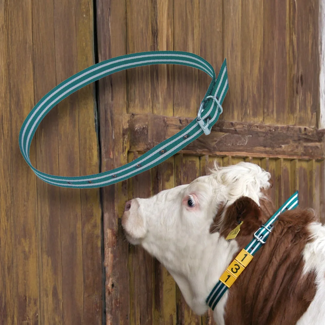 Curea pentru marcarea animalelor, 120 cm sau 135 cm, verde/alb