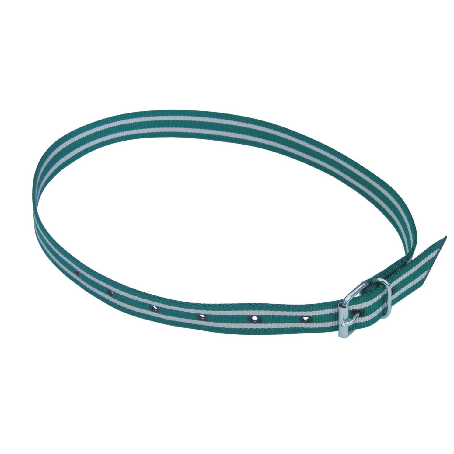 Curea pentru marcarea animalelor, 120 cm sau 135 cm, verde/alb