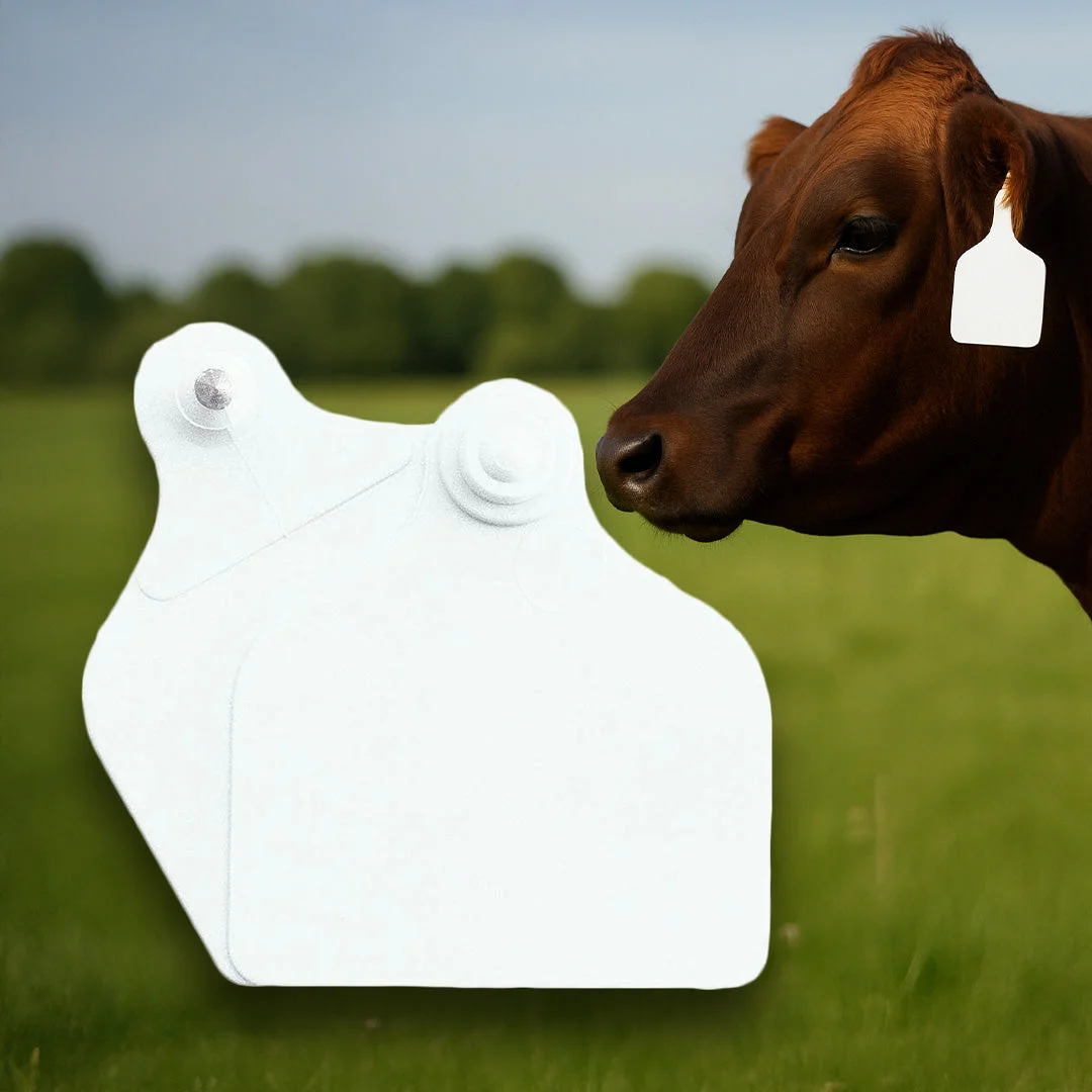 Primaflex cattle ear tags, unmarked, white, 46 × 44 mm, set of 25