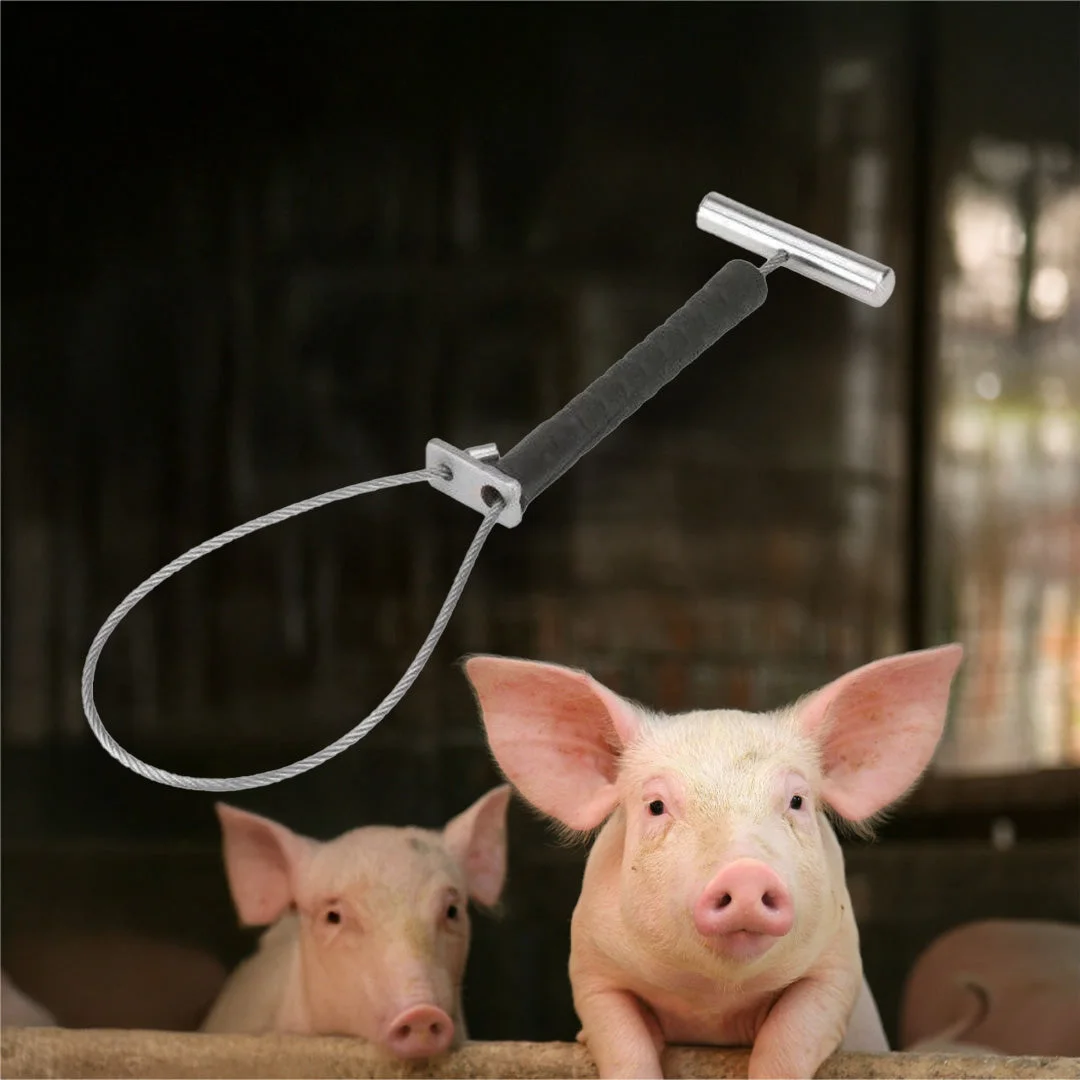 Pig restraining snare with handle and rubber-coated mini loop, 30 cm