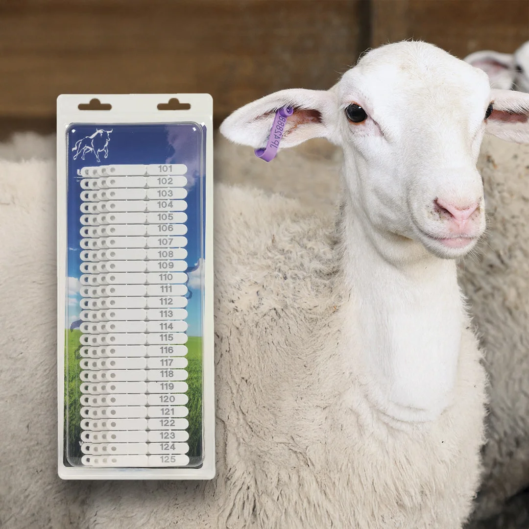 Ear tags numbered 1–100 for sheep, goats and pigs, white, set of 100
