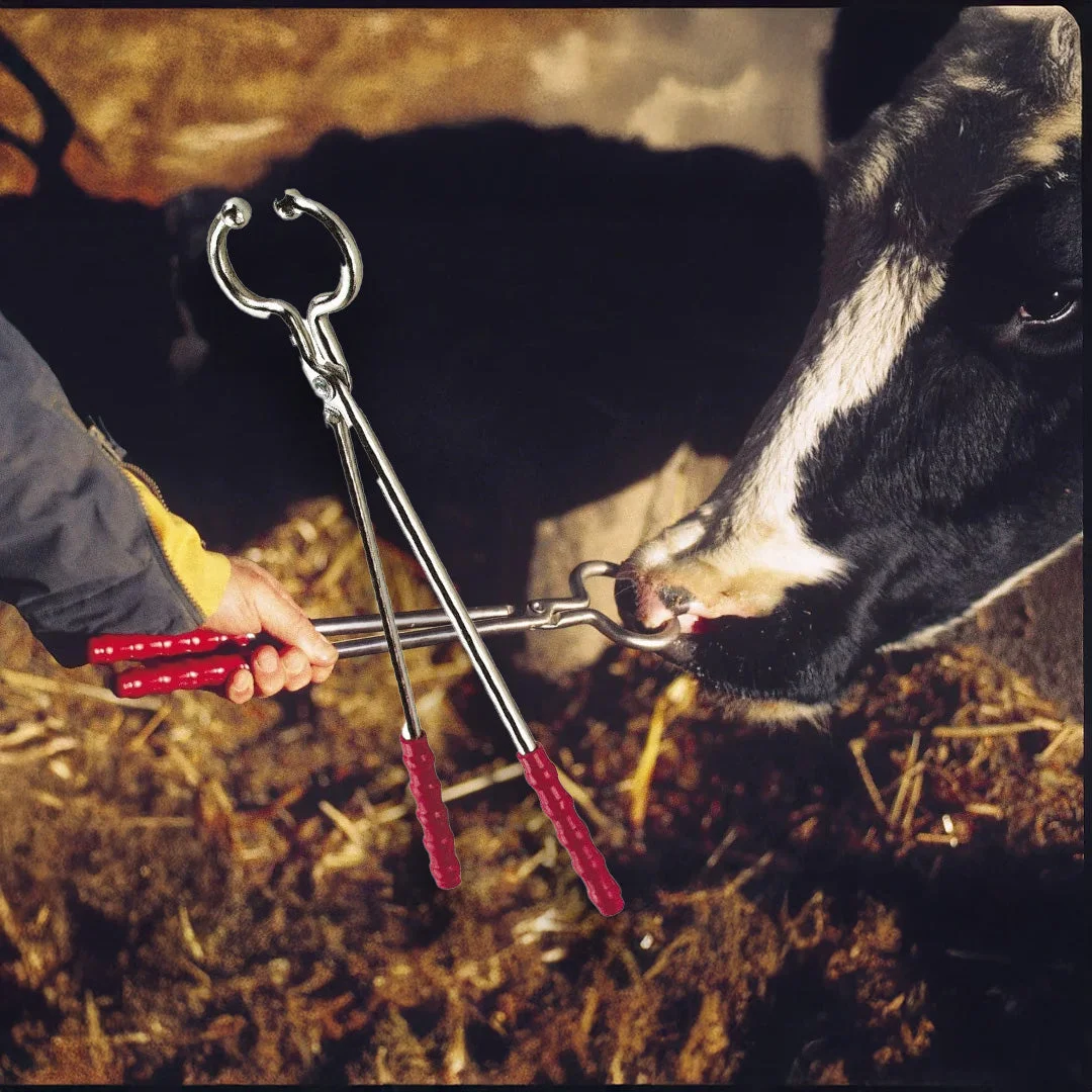 Long-handled cattle nose tongs, 44 cm