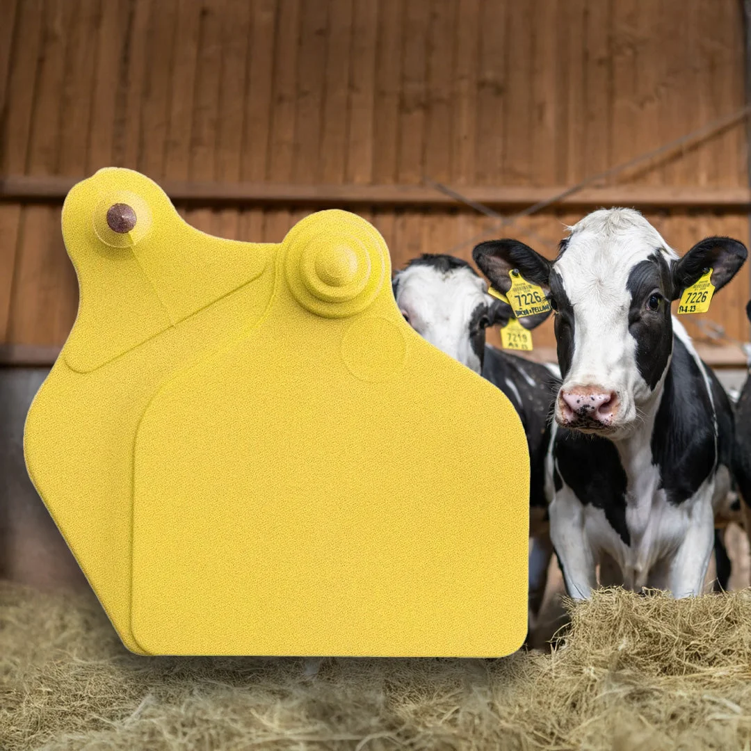 Maxi + Maxi cattle ear tags, yellow, set of 20