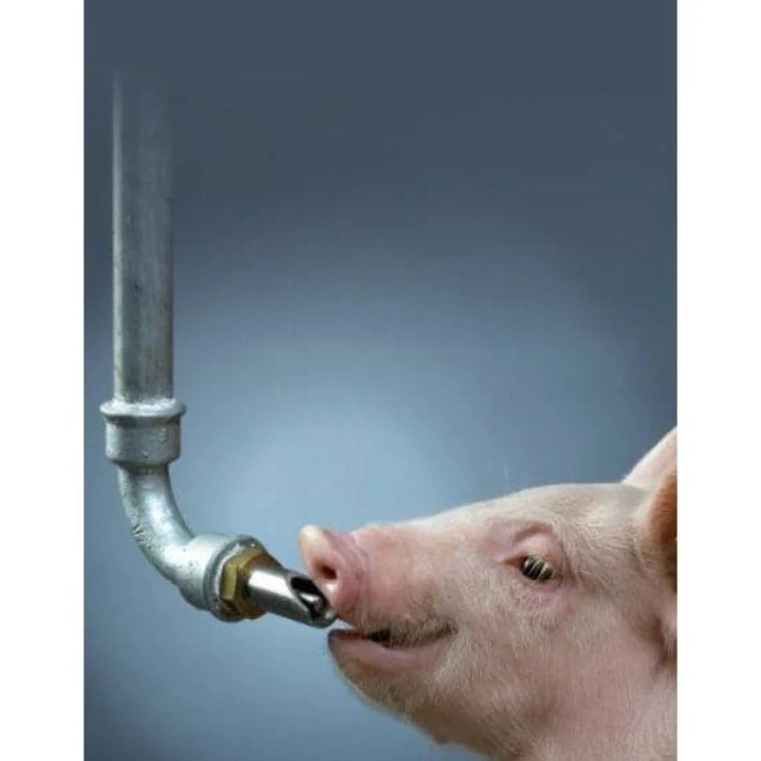 Farma stainless steel pig drinking nipple, 3/4″