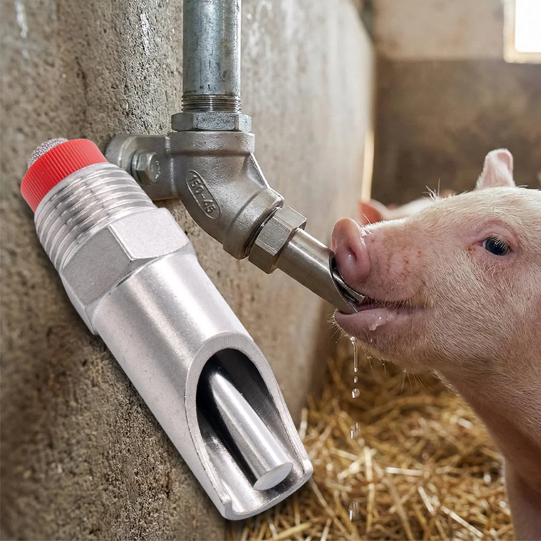 Stainless steel pig drinking nipple, 1/2″