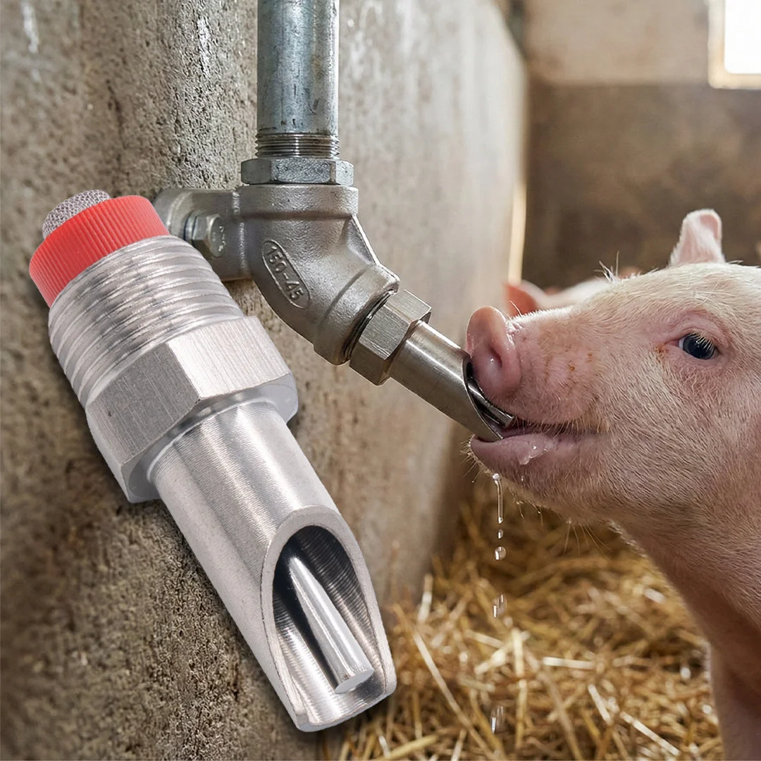 Stainless steel pig drinking nipple, 1/2″